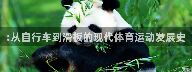 zoty中欧体育平台