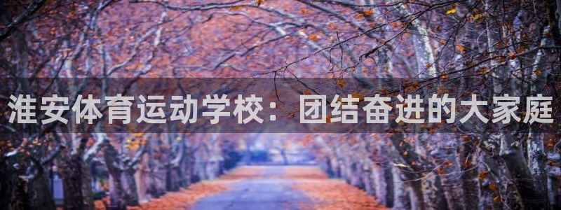 中欧体育网址