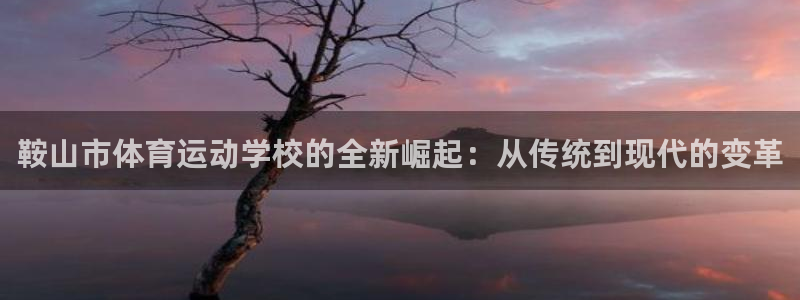 中欧体育网页登录