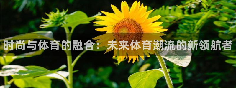 中欧体育app