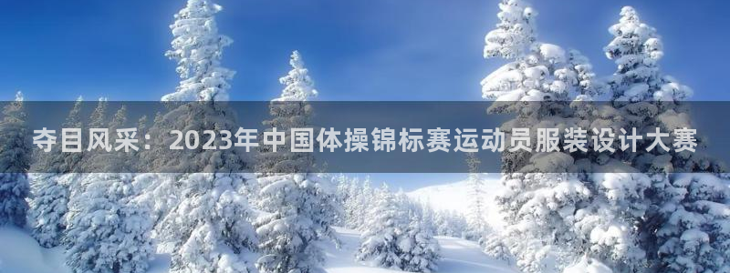 中欧体育官网入口