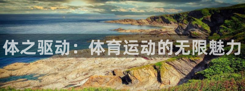 中欧体育下载