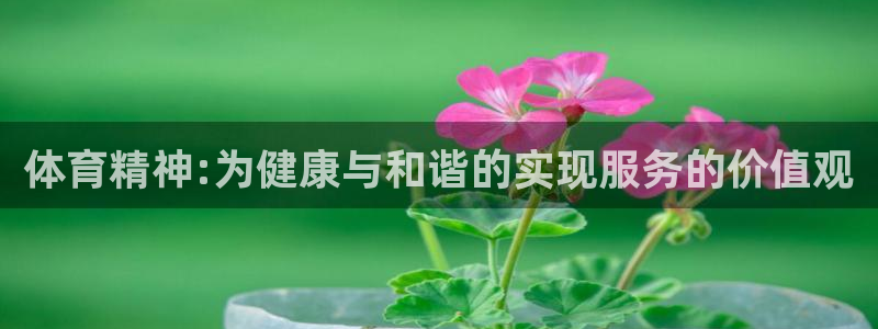 zoty中欧体育