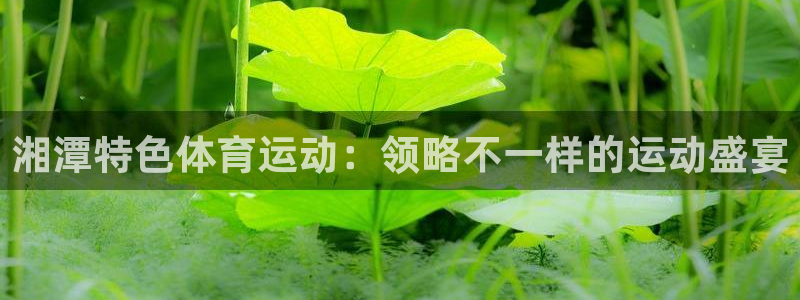 中欧体育ac米兰