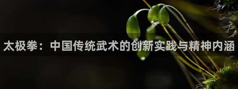 中欧体育kok官网首页