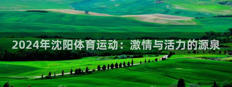 kok中欧体育：2024年沈阳体育运动：激情与活力的源泉
