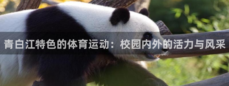 中欧体育kok官网首页