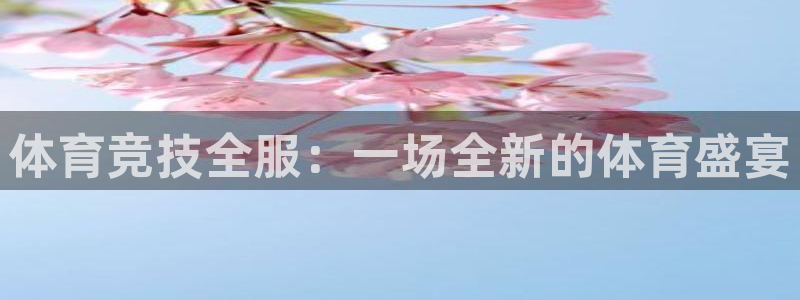 中欧体育官网入口