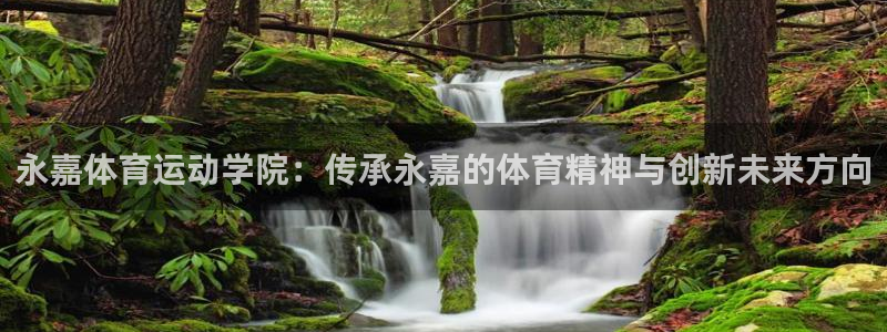 中欧体育平台：永嘉体育运动学院：传承永嘉的体育精神与创新未来方向