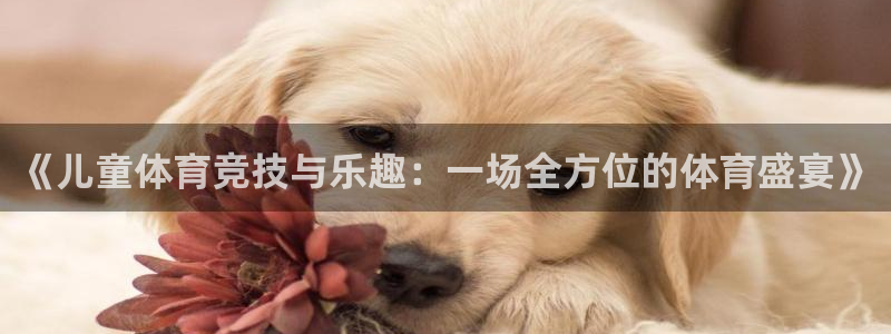 zoty中欧体育网址多少：《儿童体育竞技与乐趣：一场全方位的体育盛宴》