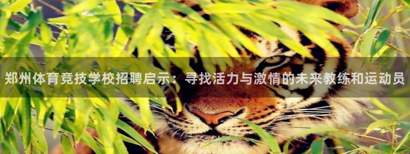中欧体育客服