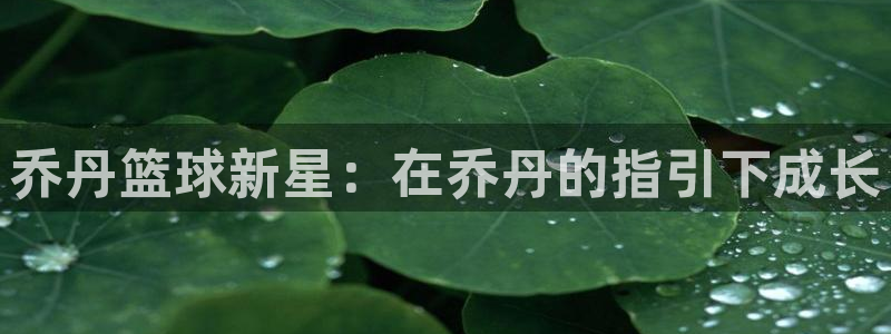 中欧体育网站：乔丹篮球新星：在乔丹的指引下成长