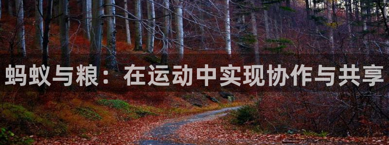 中欧体育官网入口：蚂蚁与粮：在运动中实现协作与共享